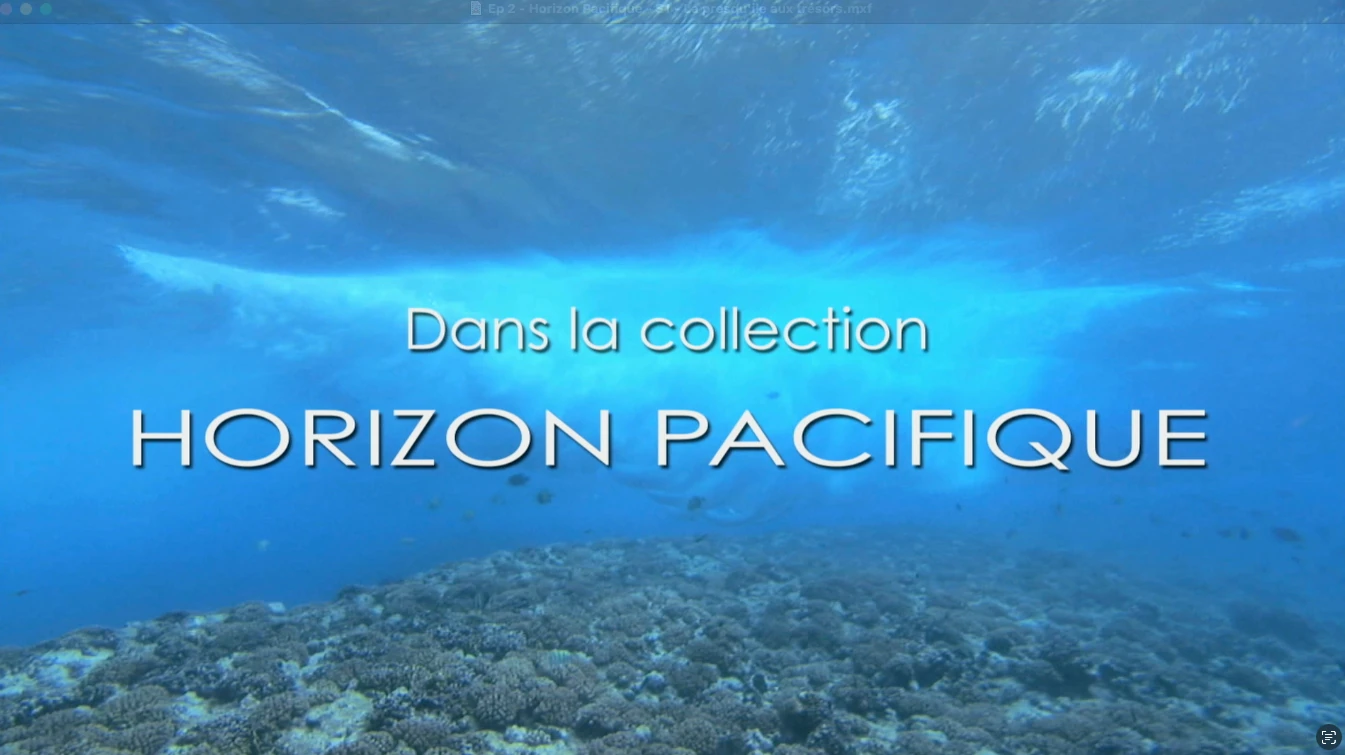 Horizon Pacifique
