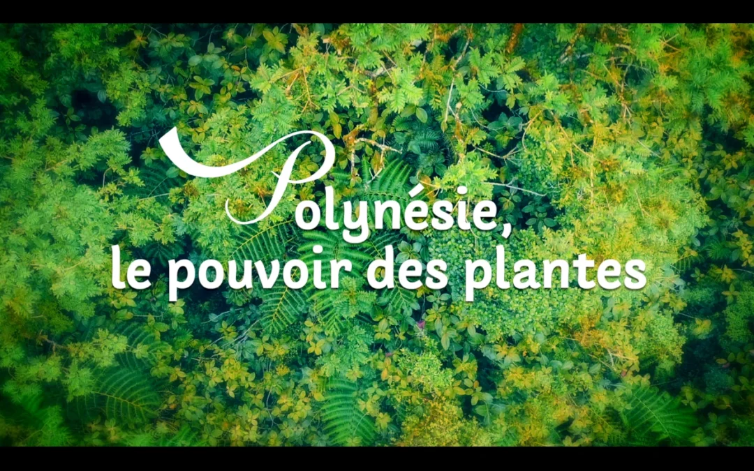 Polynésie, le pouvoir des plantes