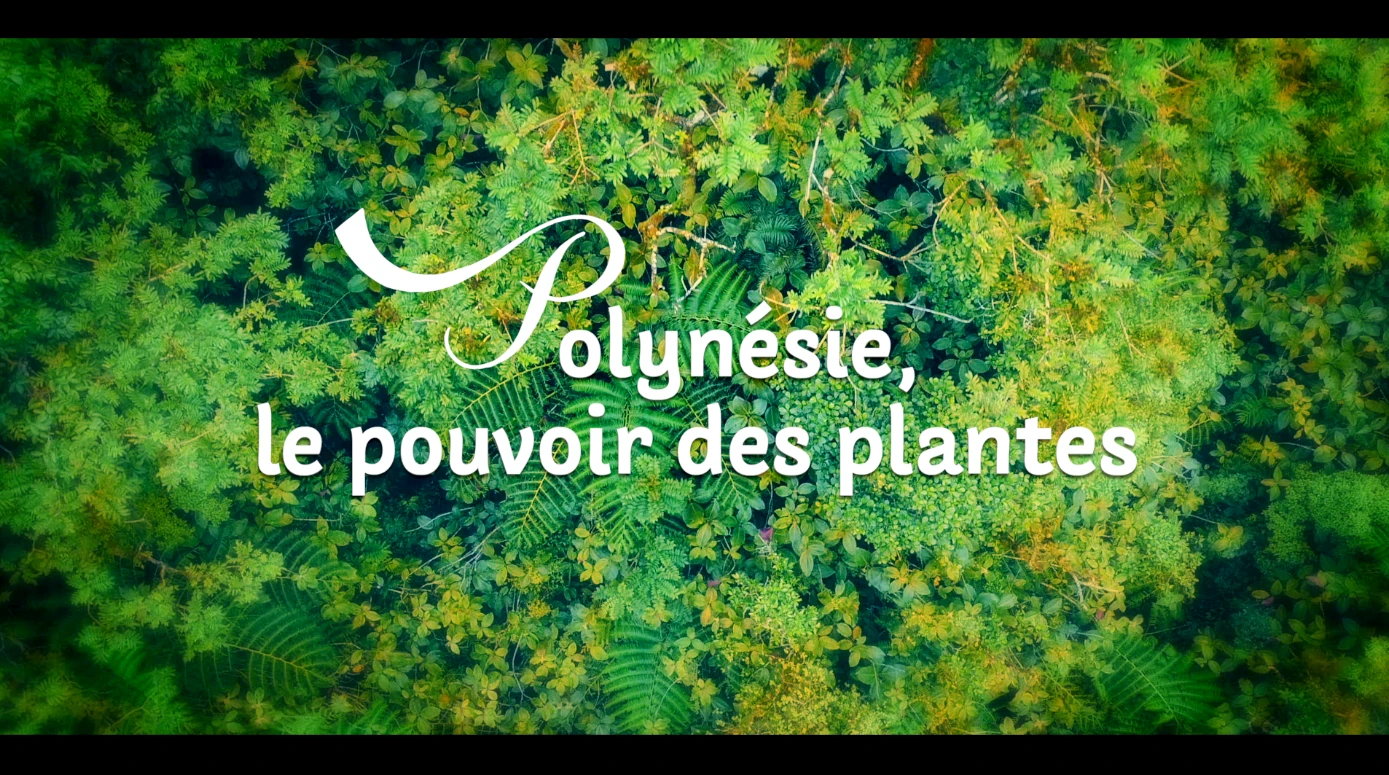 Polynésie, le pouvoir des plantes