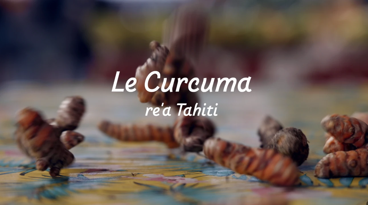 Polynésie le pouvoir des plantes le curcuma, re'a tahiti